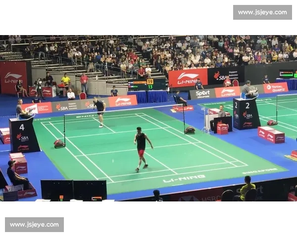 林丹对决安塞龙巅峰直播见证羽坛传奇再燃战火全球球迷沸腾之夜